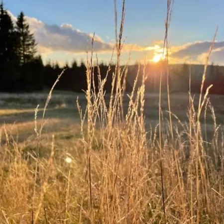 מלון דירות Platz אברטאמי